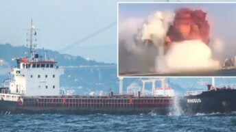 На Кипар сослушан сопственикот на бродот што го пренел амониум нитратот во Бејрут